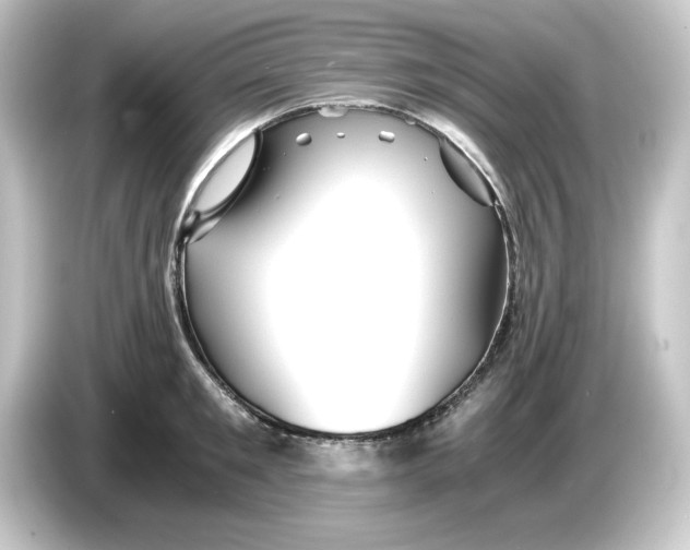 X0000084550901200703161644