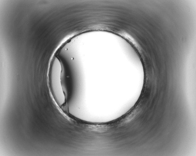 X0000084550902200703161644