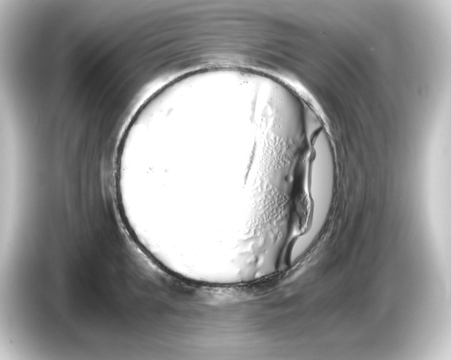 X0000084550903200703161644