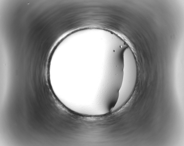 X0000084550904200703161644