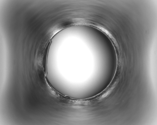 X0000084550905200703161644