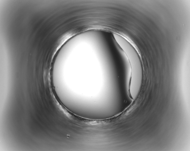 X0000084550906200703161644