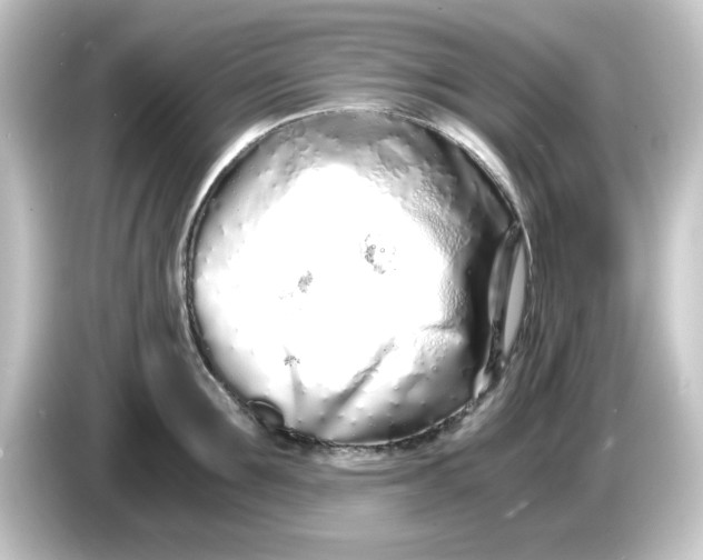 X0000084550907200703161644