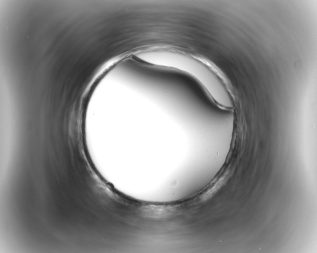 X0000084550910200703161644