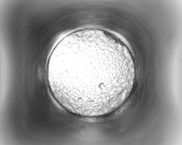 X0000084550911200703161644