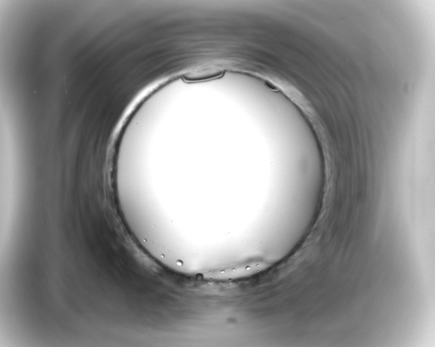 X0000084550912200703161644