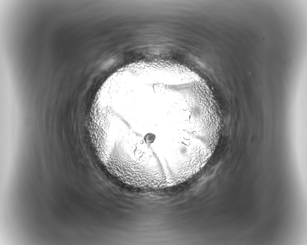 X0000084550913200703161643