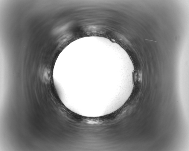 X0000084550915200703161644