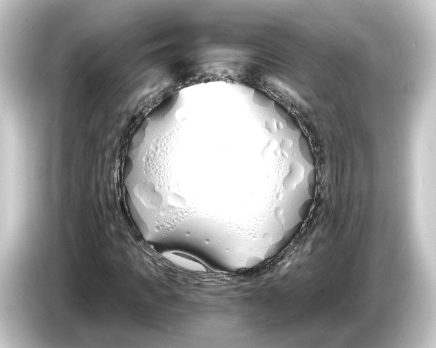 X0000084550917200703161644