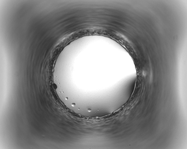 X0000084550919200703161644