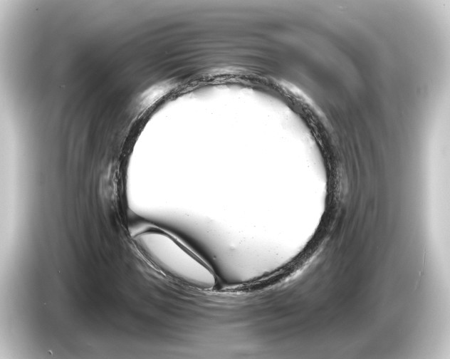 X0000084550921200703161644