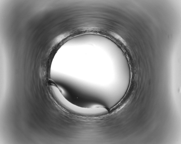 X0000084550922200703161644