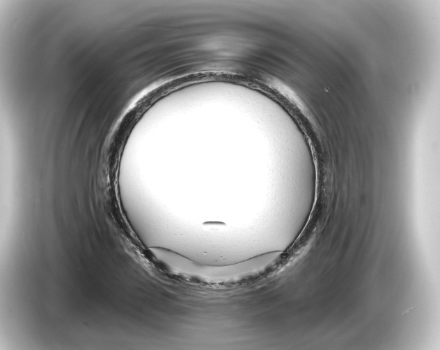 X0000084550923200703161644