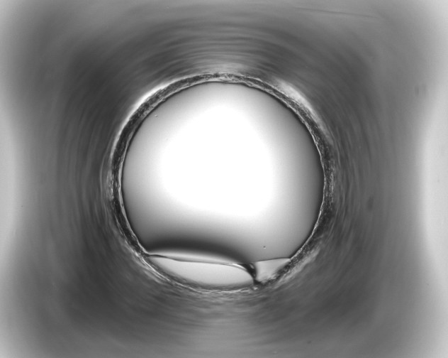 X0000084550924200703161644