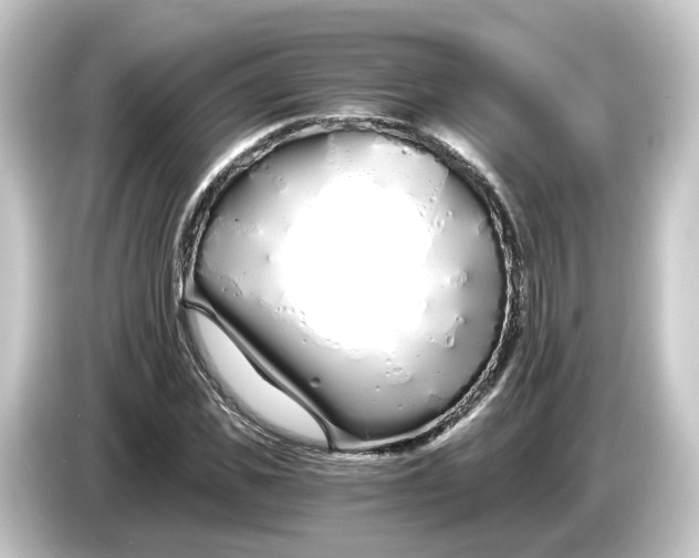 X0000084550925200703161644