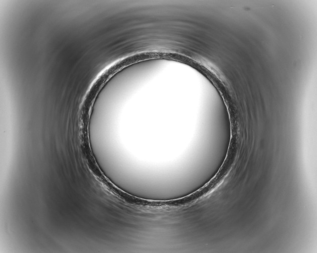 X0000084550926200703161644