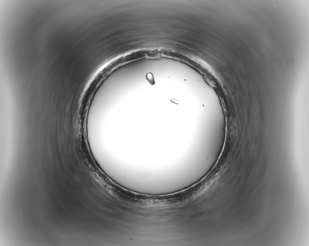 X0000084550927200703161644