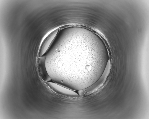 X0000084550928200703161644