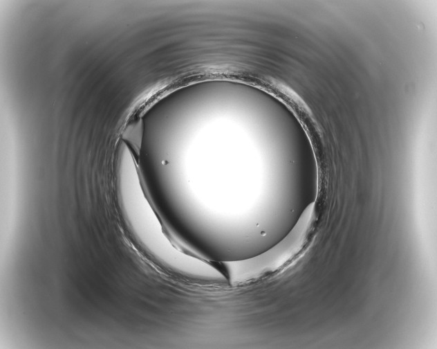 X0000084550930200703161644