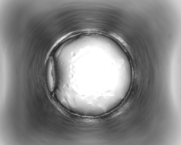 X0000084550933200703161644