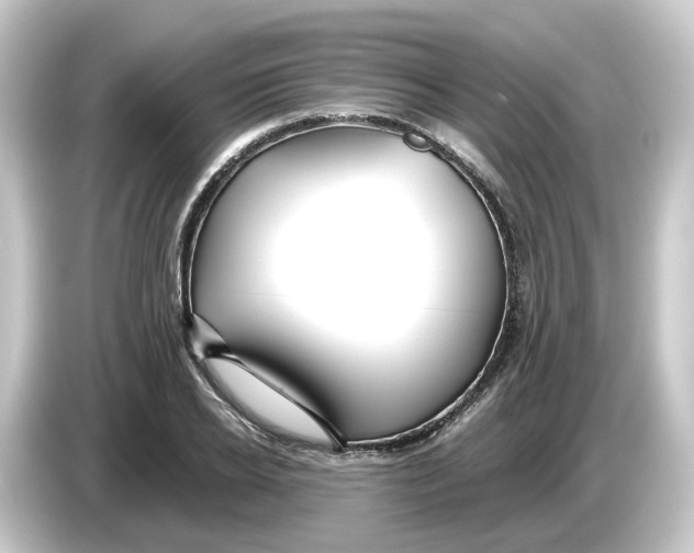 X0000084550934200703161644