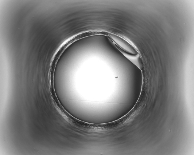 X0000084550935200703161644