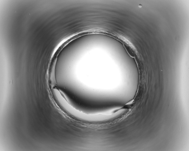 X0000084550936200703161644