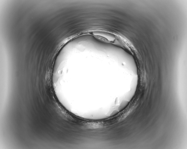 X0000084550937200703161644