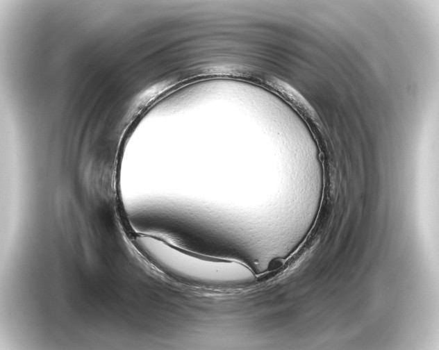 X0000084550938200703161644