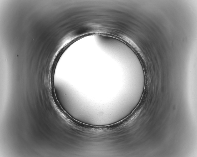 X0000084550939200703161644