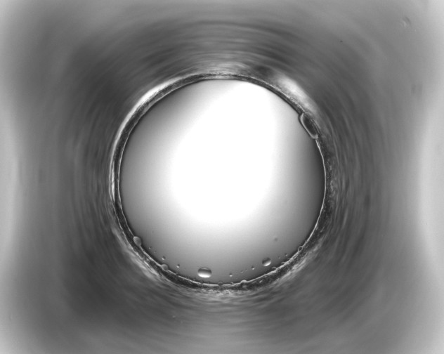 X0000084550940200703161644