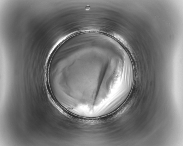 X0000084550941200703161644