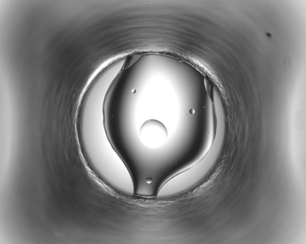 X0000084550942200703161644