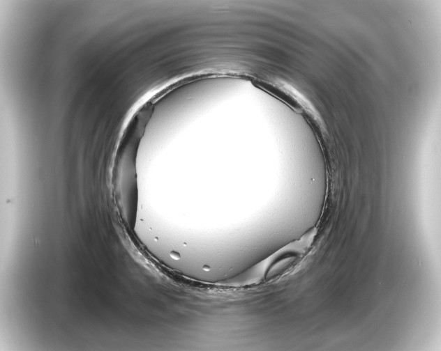 X0000084550944200703161644