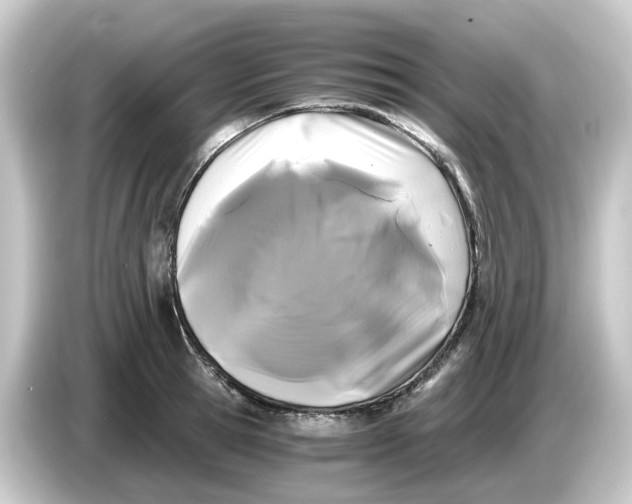 X0000084550945200703161644