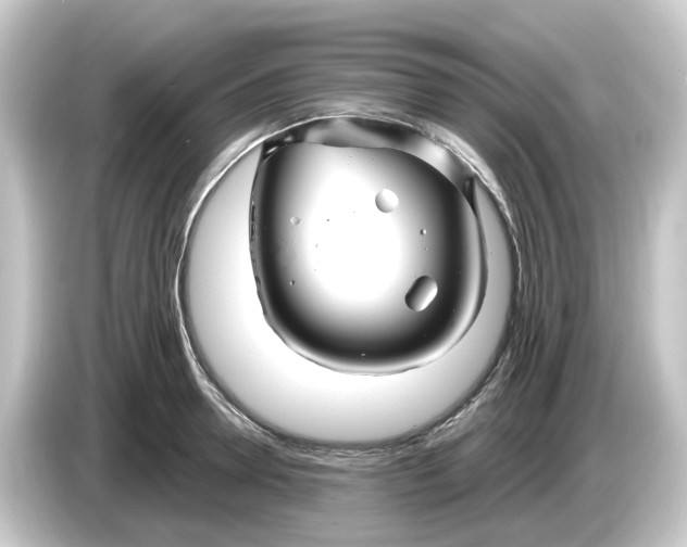 X0000084550946200703161644