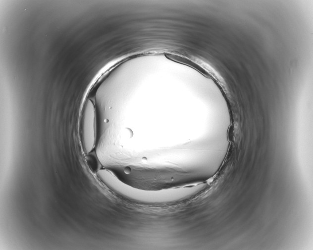 X0000084550948200703161644