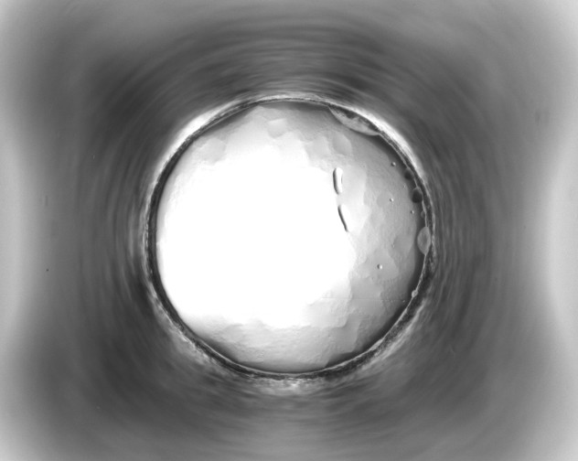 X0000084550949200703161644