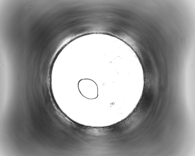 X0000084550950200703161644