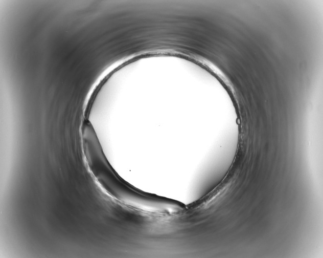 X0000084550951200703161644