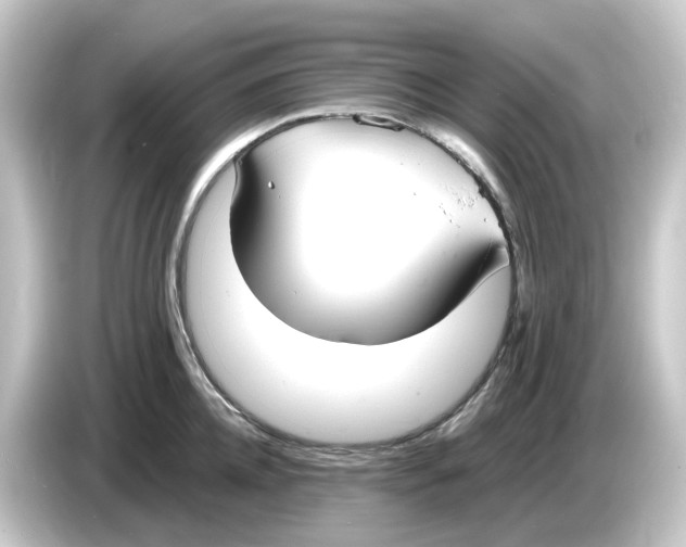 X0000084550952200703161644