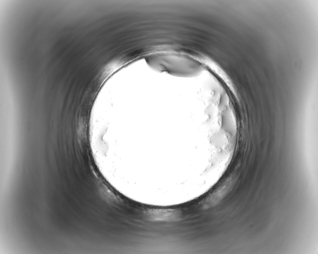 X0000084550953200703161644