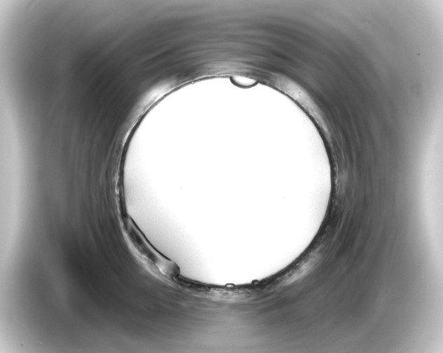 X0000084550954200703161644