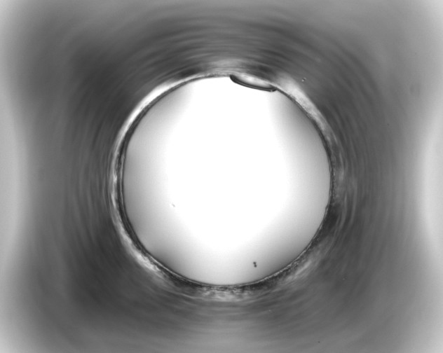 X0000084550955200703161644