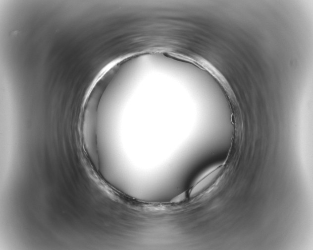 X0000084550956200703161644