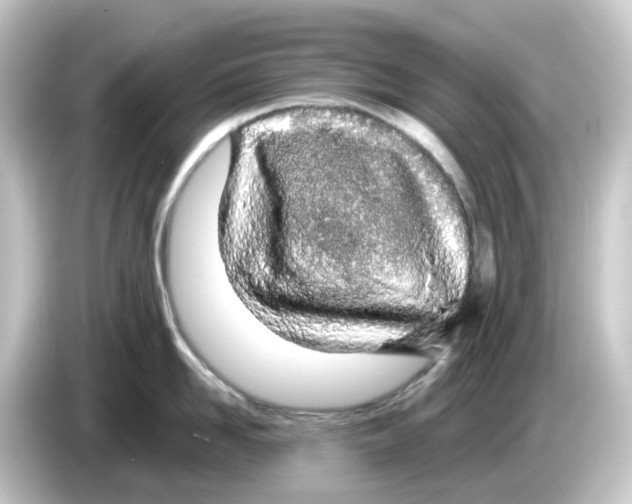 X0000084550958200703161644