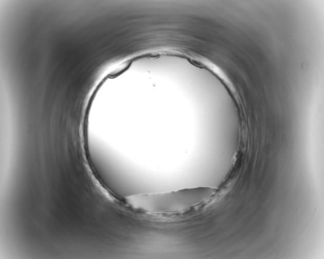 X0000084550959200703161644