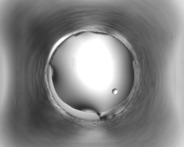 X0000084550960200703161644