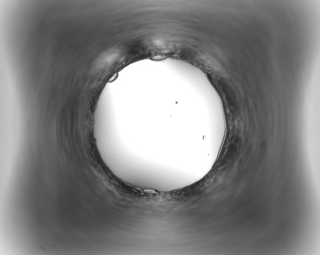 X0000084550961200703161643