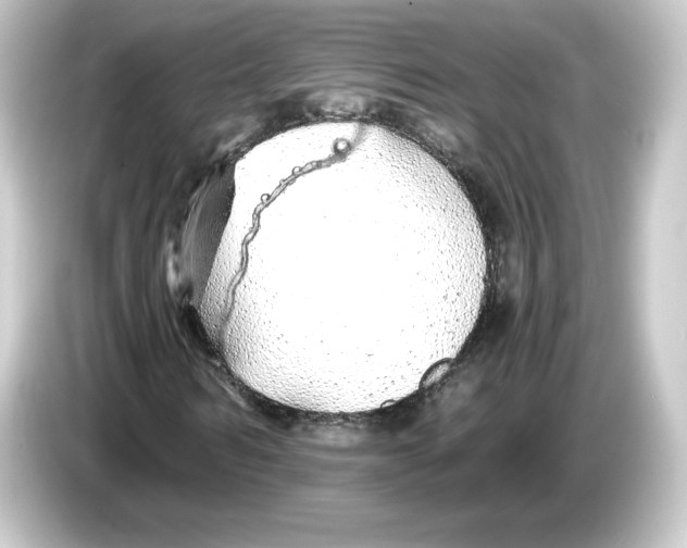 X0000084550962200703161643